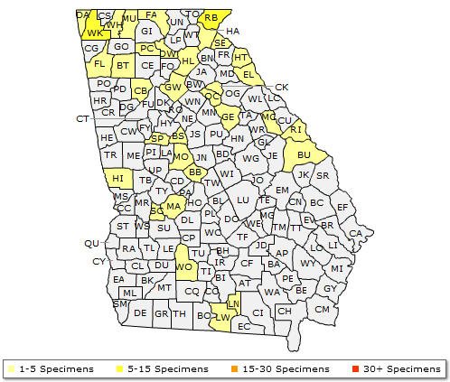 The Georgia range of Robinia hispida